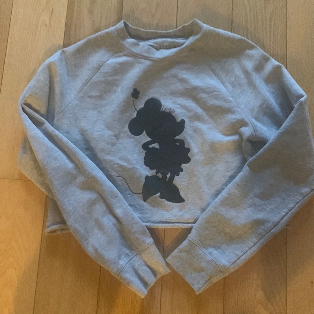 Aritzia Talula X Disney Crop Top